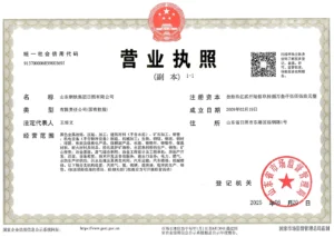 Business licence — Shandong Iron and Steel Group Rizhao Co., Ltd.